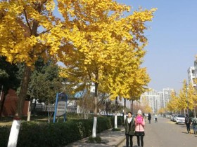 中级会计职称报名问题如何轻松解决?