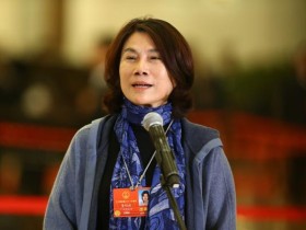 董明珠:杜绝盲目“煤改气” 应力推“煤改电”