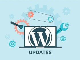 禁止WordPress自动更新系统-只需一行代码