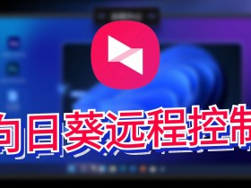 向日葵企业版SunloginEnterprise v3.2.1.44986不强制登录最终版