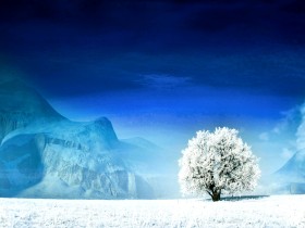 通讯稿件(心理讲座通讯稿)