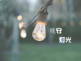 人人网二手车(暂停二手车经销商业务)