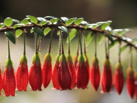 考后反思(半期考试后的反思)