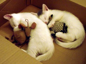 电视柜设计(这11款电视柜设计才是永远的神)