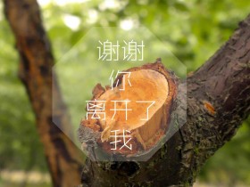 小学英语老师(我的小学英语老师!)
