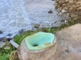 幸亏没咬人 不然欧尼酱警告 囧图 这陪玩看来很有经验