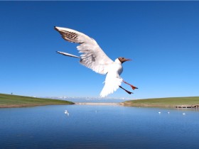 如果努力只是为了逃避,越努力就越悲剧