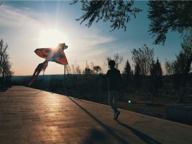 工作生活,如何找到自己真正擅长的事?