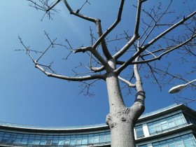 职位越高的管理者,越容易犯3个错误