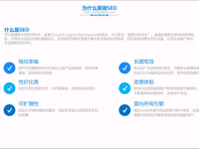 如何进行seo搜索引擎优化(我们的seo为什么会成功优化)