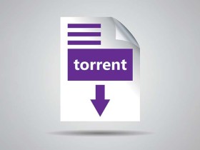 iOS如何打开torrent格式文件