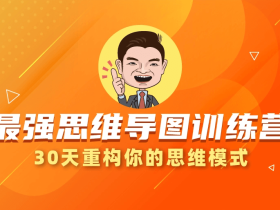 30天最强思维导图训练营