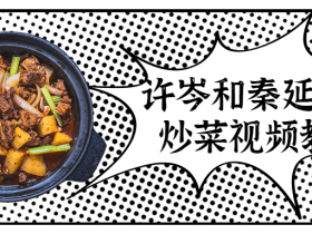 许岑和秦延庆的炒菜视频教程
